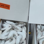 First Choice Seafood